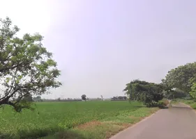 Shikarpur, Uttar Pradesh 203395, India preview 3