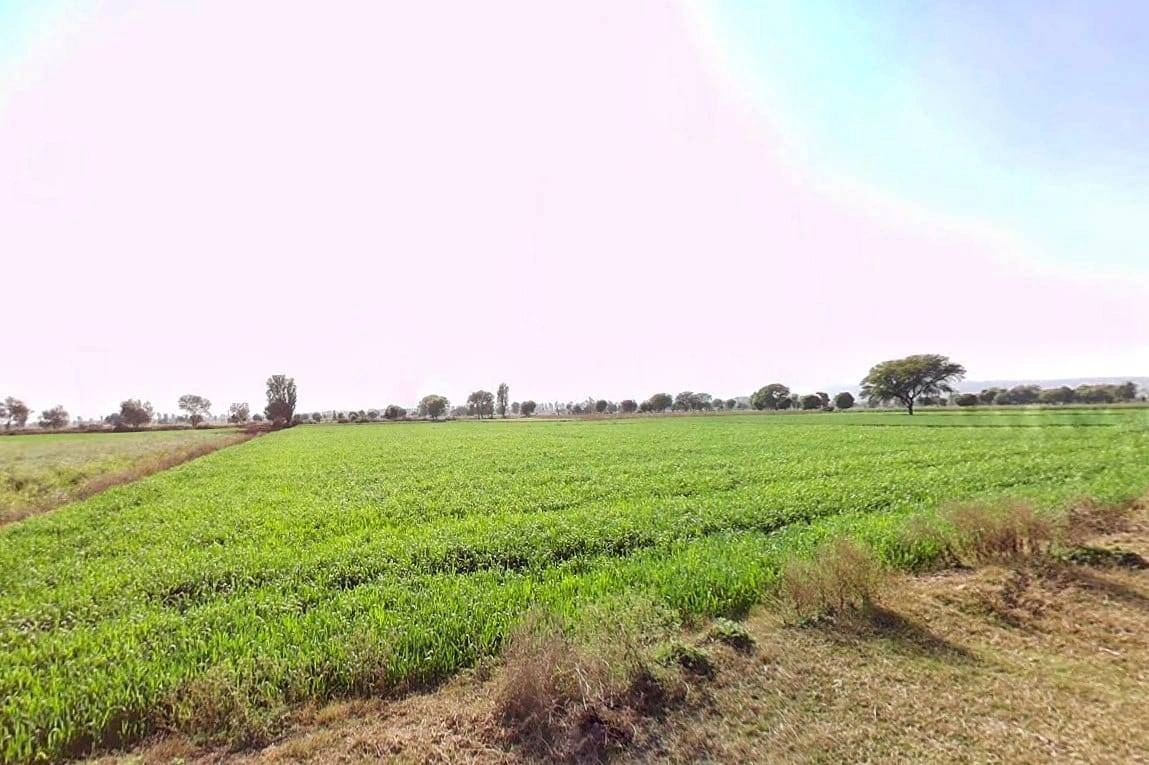 FJJF+W3 Dadar, Rajasthan, India