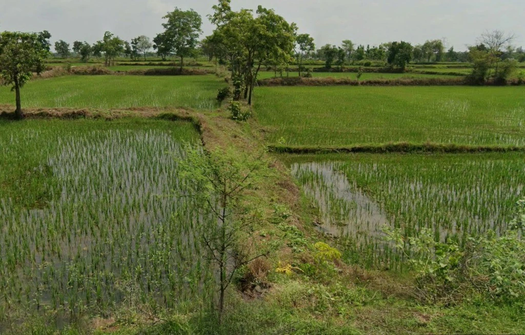 Takhatpur, Chhattisgarh 495330, India