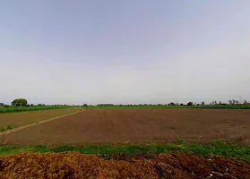 Dastoi, Uttar Pradesh, India preview 3