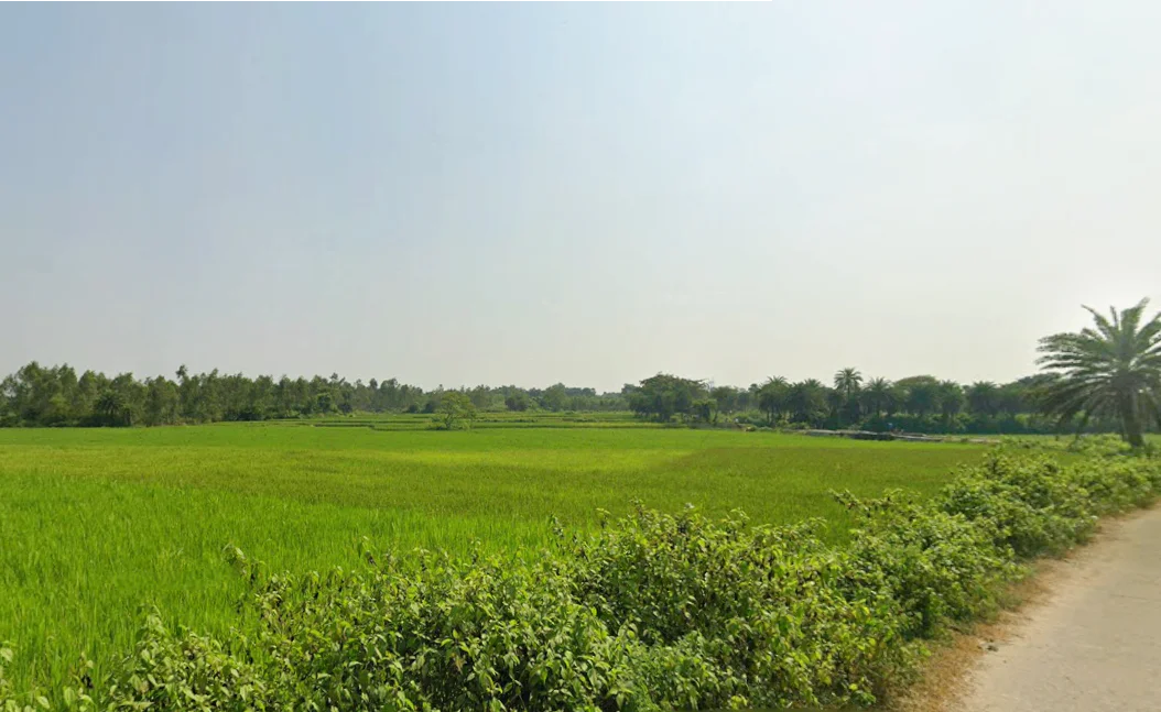 Biharinath Hill, West Bengal 722153, India preview 3