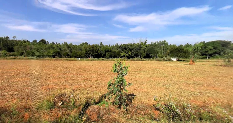 Sira, Karnataka 572137, India preview 3