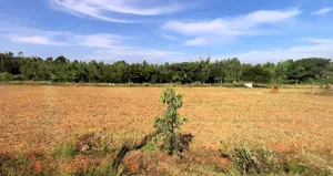 Sira, Karnataka 572137, India preview 3