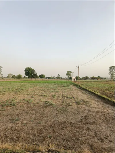 joygachi, Habra, West Bengal 743263, India preview 2