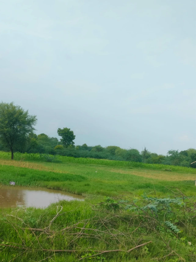 JGRC+6H Awandiya, Jaipur, Rajasthan, India