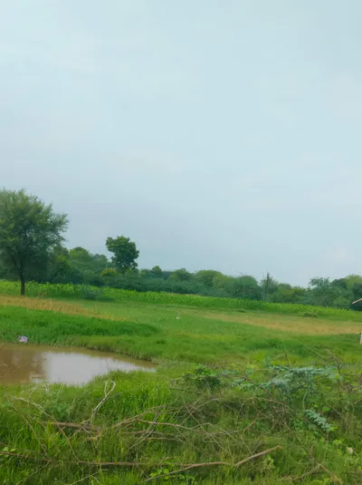 JGRC+6H Awandiya, Jaipur, Rajasthan, India preview 3