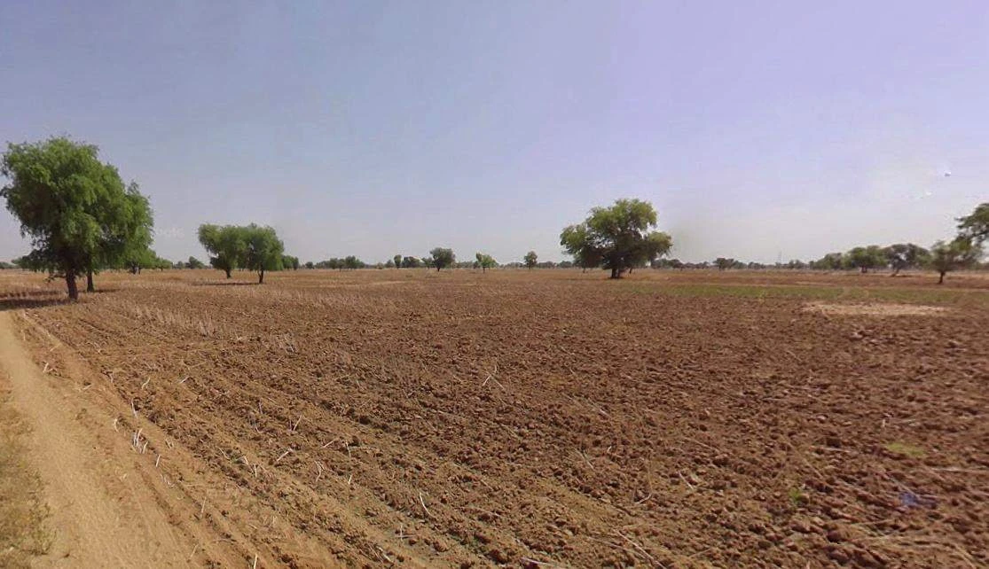 Sonipat, Haryana, India