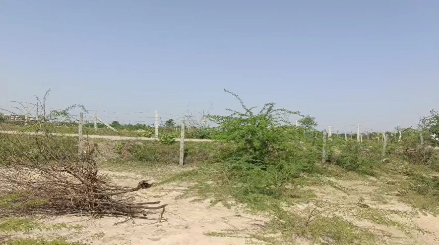 7V9H+4X Baroni, Tonk, Rajasthan, India