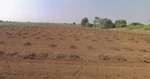 Kankaravadi, Gujarat, India preview 3