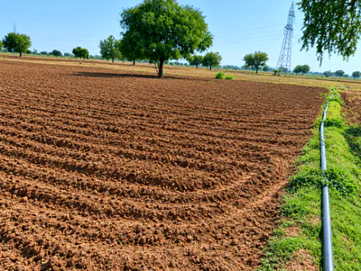 Jawa Rd, Charkhi Dadri, Java, Haryana 127310, India preview 3