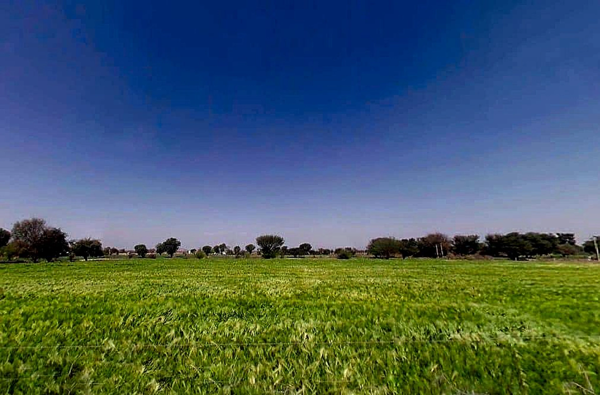 C933+858, Aloda, Rajasthan 332602, India