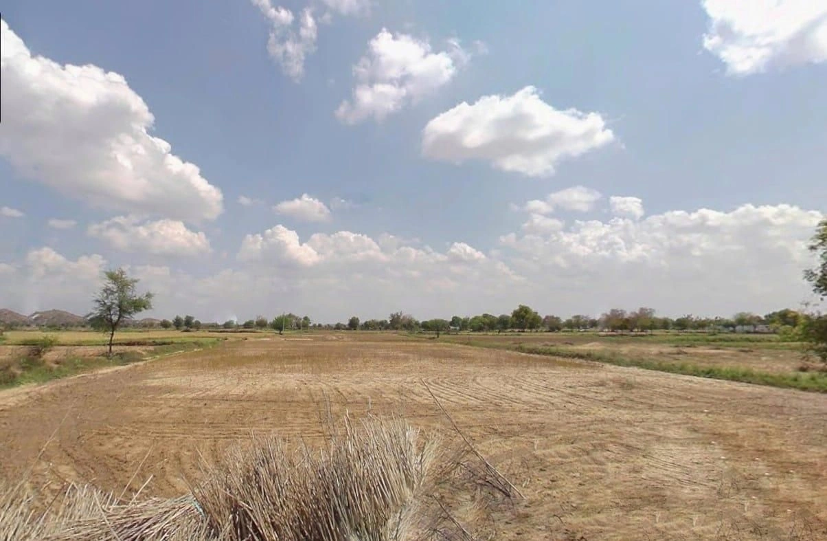 RMWX+H8 Tarwala, Rajasthan, India