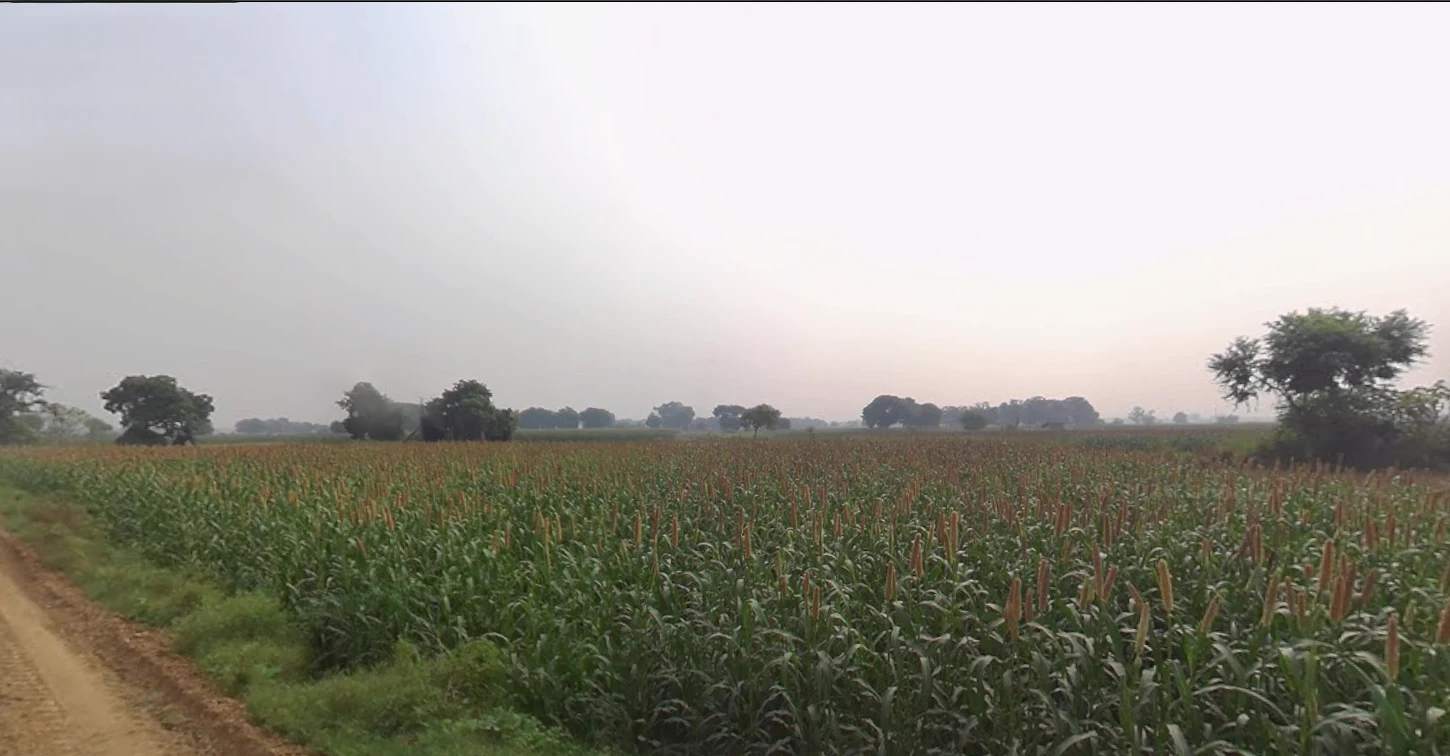 Puranpur, Uttar Pradesh 262122, India preview 2