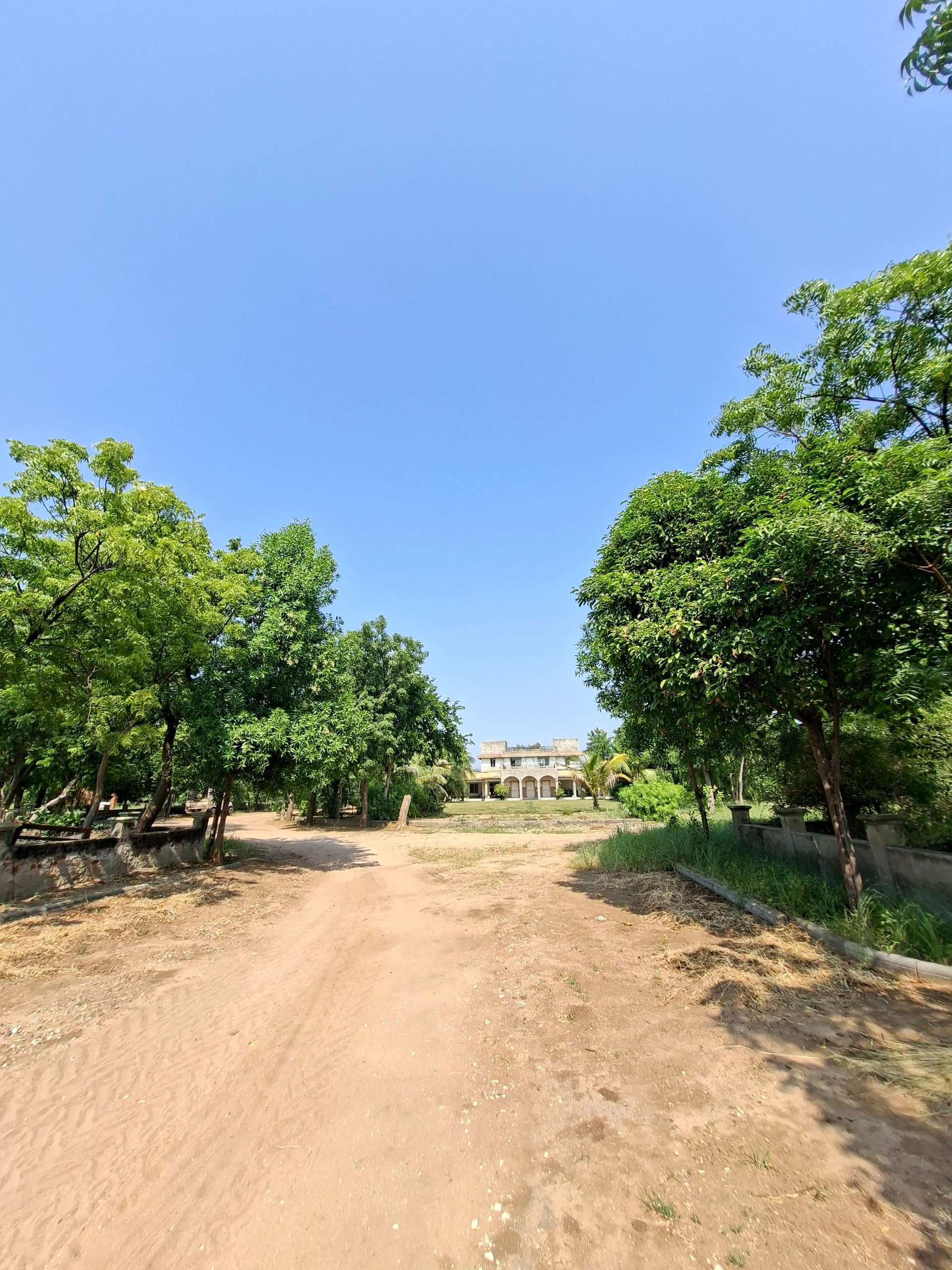 To Nalsarovar Road, Viramgam, 382170, India