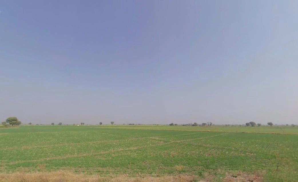 G366+2GQ, Borda Kachhiyan, Rajasthan 323803, India