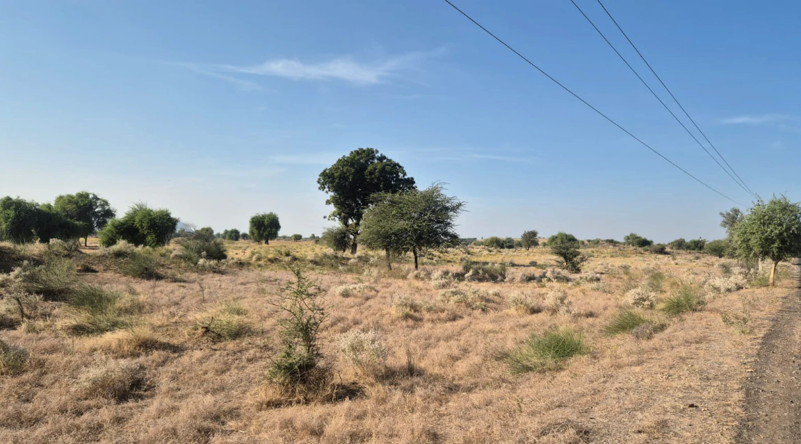 JV5R+WQV, Jalore, Bhadrajun, Rajasthan 307029, India