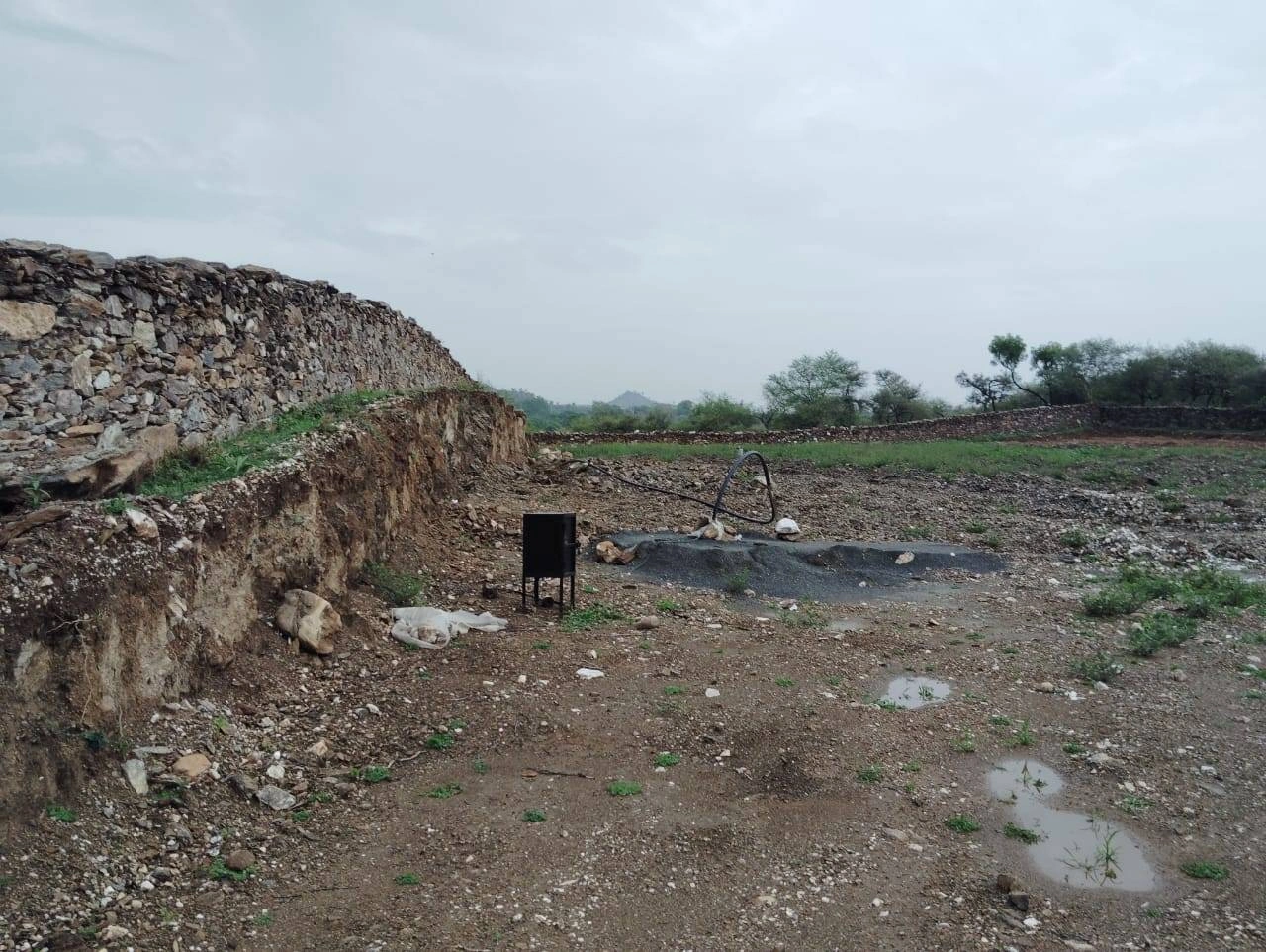 203, Junaguda, Delwara, Peepalwas, Rajasthan 313202, India