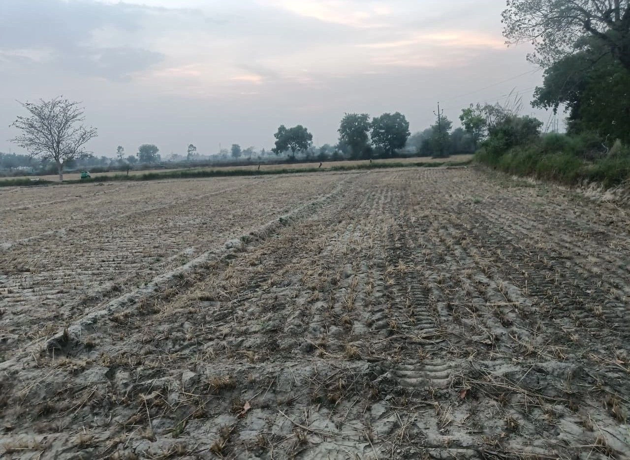 Khunteta Khurd, Rajasthan 301001, India