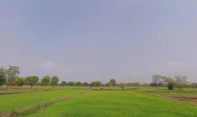 Sankara, Chhattisgarh 492112, India preview 3