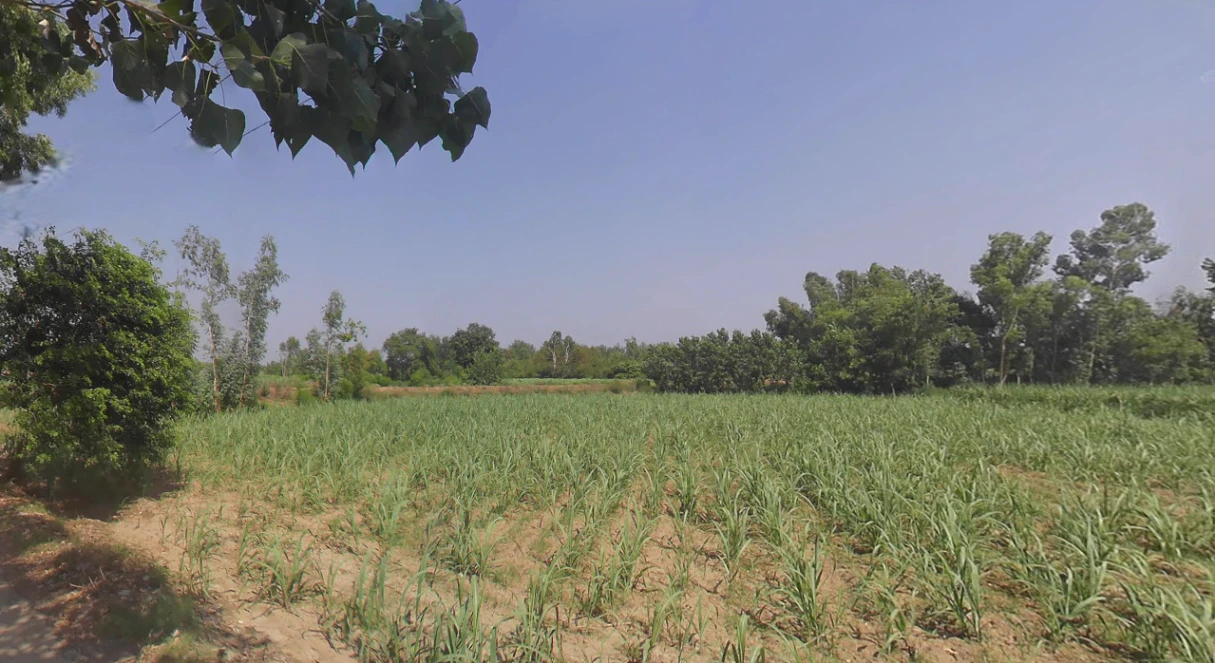 Kanth, Uttar Pradesh 244501, India