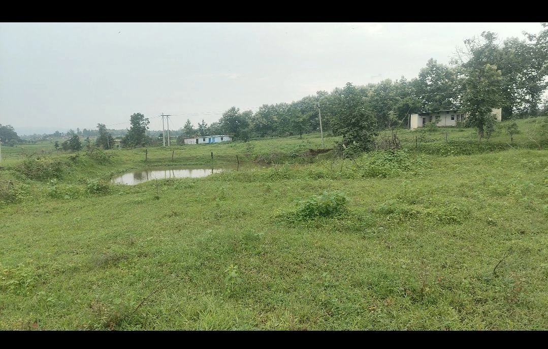 Pipariya, Narmadapuram, Madhya Pradesh 461775, India