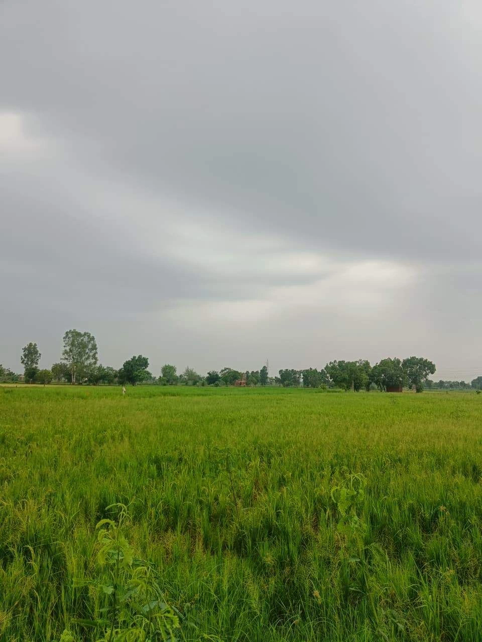 Bukharari, Mathura, Uttar Pradesh, India preview 2