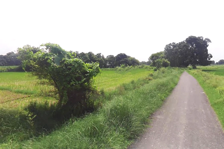 69JQ+M56, Bahadurgarh, Barai Garh, Uttar Pradesh 209401, India