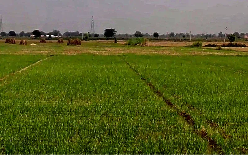 Rampura - Raithal Rd, Raghunathpura, Rajasthan, India preview 3