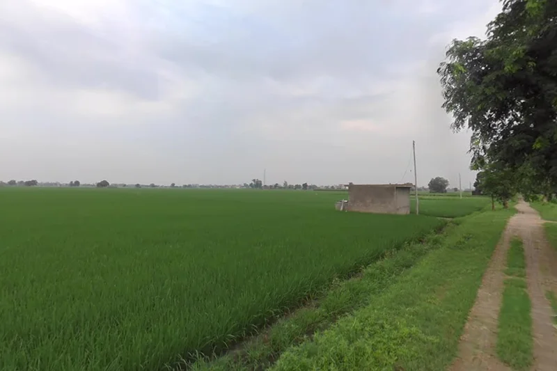 Devigarh, Punjab 147111, India preview 3