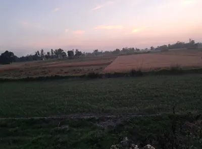 Nakodar, Punjab 144040, India preview 3