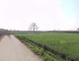 Mawana, Uttar Pradesh, India preview 2