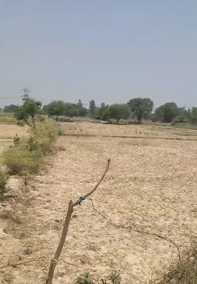 H2G8+7FW, Sirsa, Uttar Pradesh 212305, India preview 3