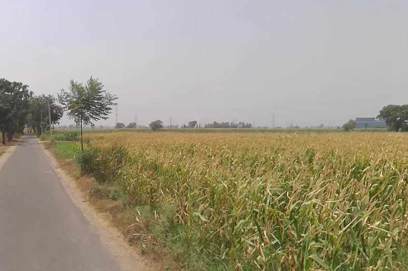 Moga, Punjab, India preview 2