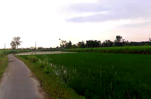 Ahamadwala, Uttar Pradesh, India preview 2