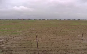 J687+V6C, Chaubepur - Bithoor Rd, Nonha Kalan, Uttar Pradesh 209203, India preview 3