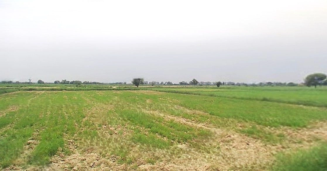 Mant, Uttar Pradesh 281202, India preview 2