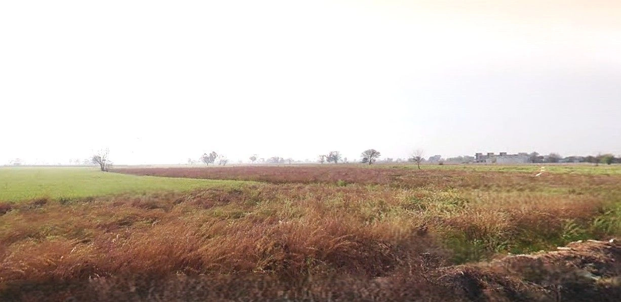 Mant, Uttar Pradesh 281202, India