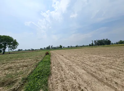 HPRV+X3 Alawala, Karnal, Haryana, India preview 3