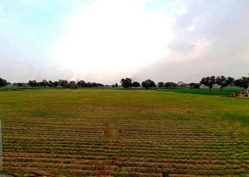 XHM8+P6J, Ramla Ka Bas, Rajasthan 303706, India preview 2