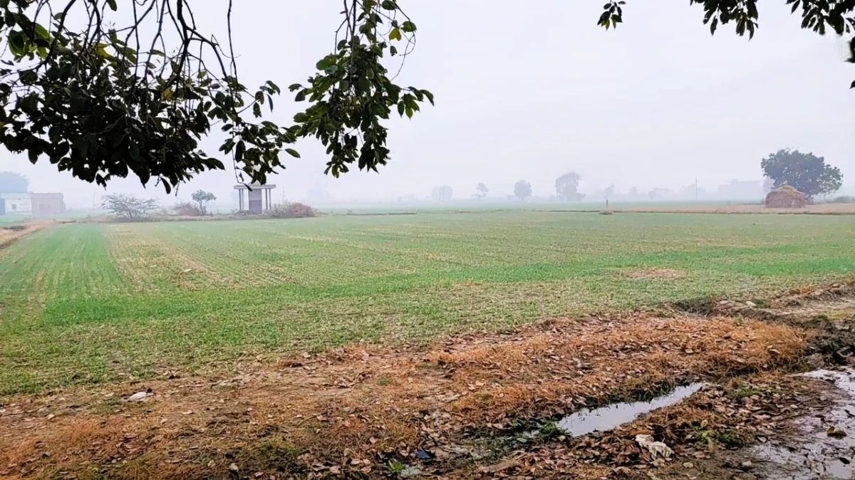 Rangrooti Khera, Haryana 132039, India