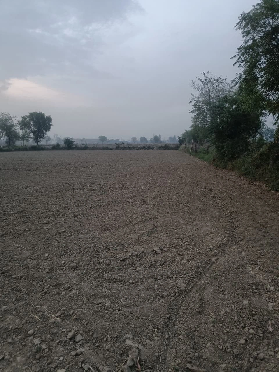 Pinan, Rajasthan, India