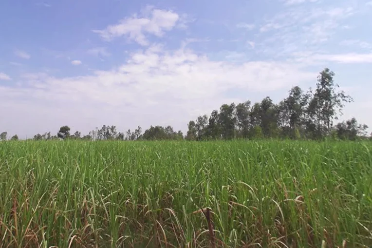 Bhaina Sadarpur, Uttar Pradesh, India preview 2