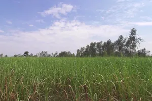 Bhaina Sadarpur, Uttar Pradesh, India preview 2