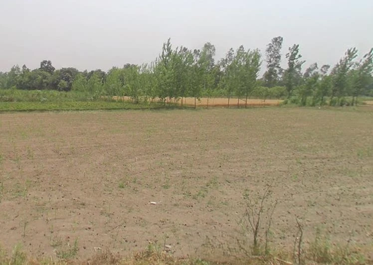 Sardhana, Uttar Pradesh 250342, India