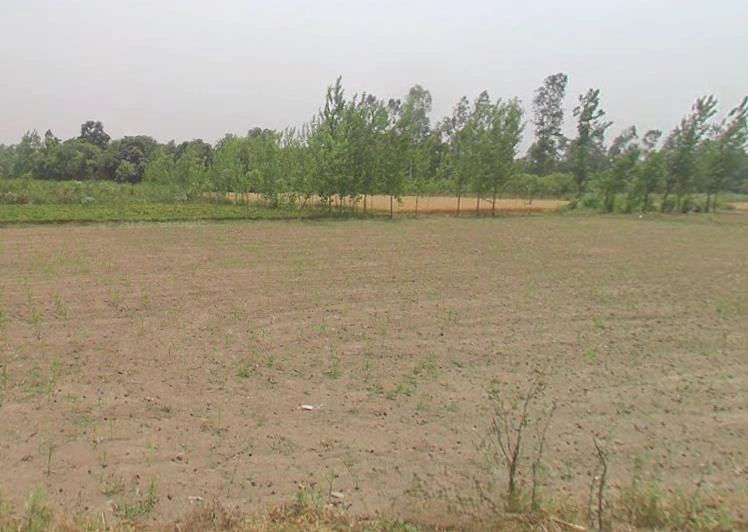 Sardhana, Uttar Pradesh 250342, India