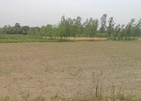 Sardhana, Uttar Pradesh 250342, India preview 3