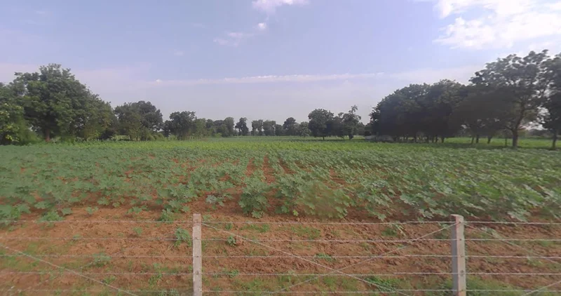 FX99+2W Valevada, Gujarat, India preview 3