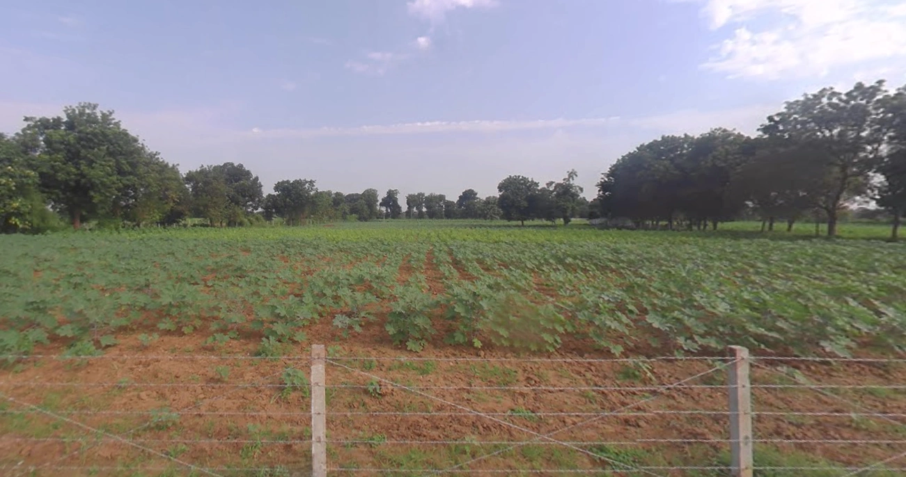 FX99+2W Valevada, Gujarat, India