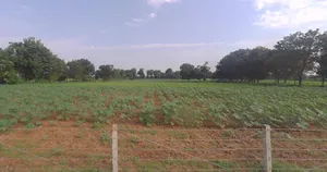 FX99+2W Valevada, Gujarat, India preview 3