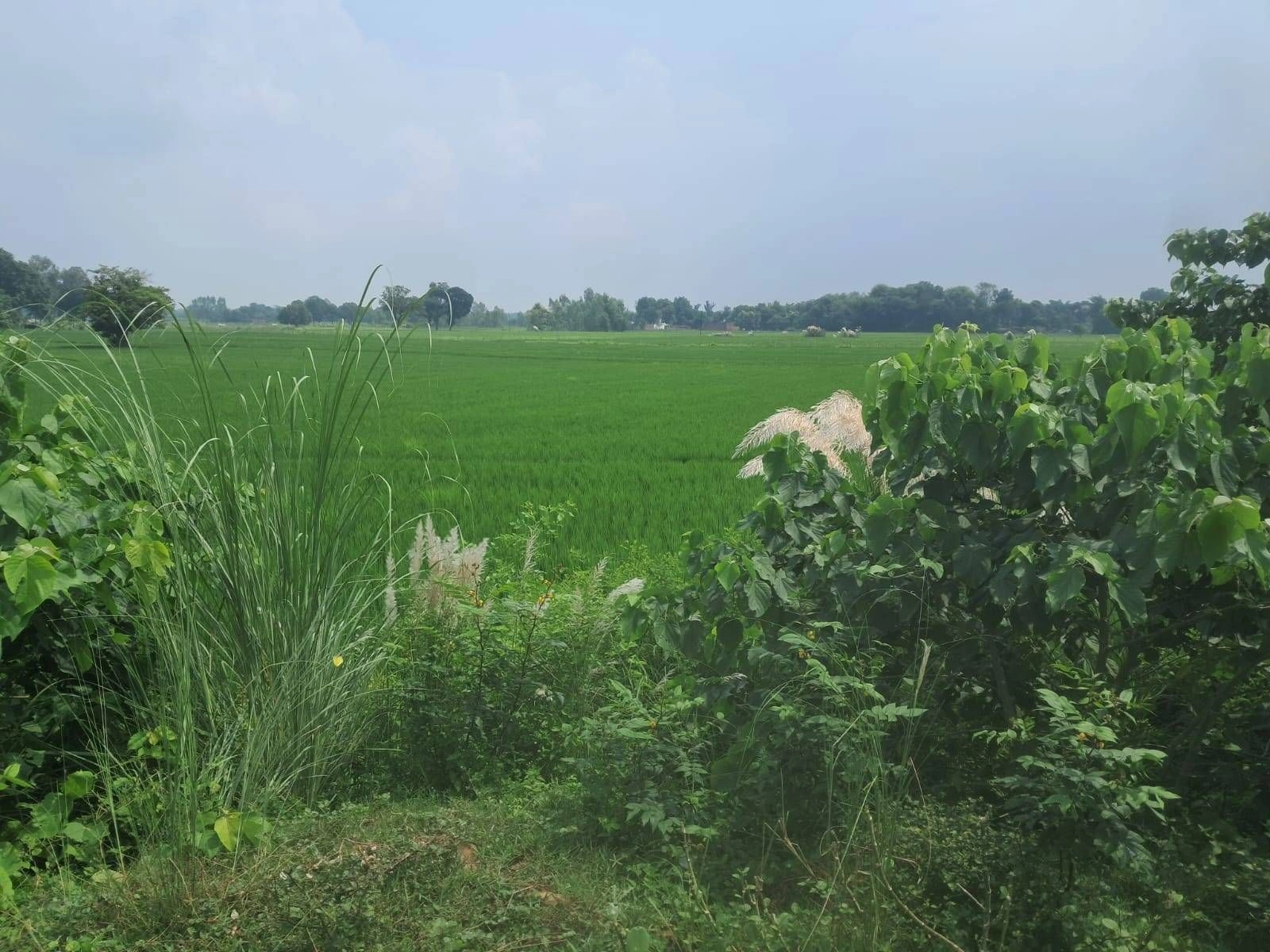 M6R3+3J Mohtashimpur, Ayodhya, Uttar Pradesh, India - Photo 2